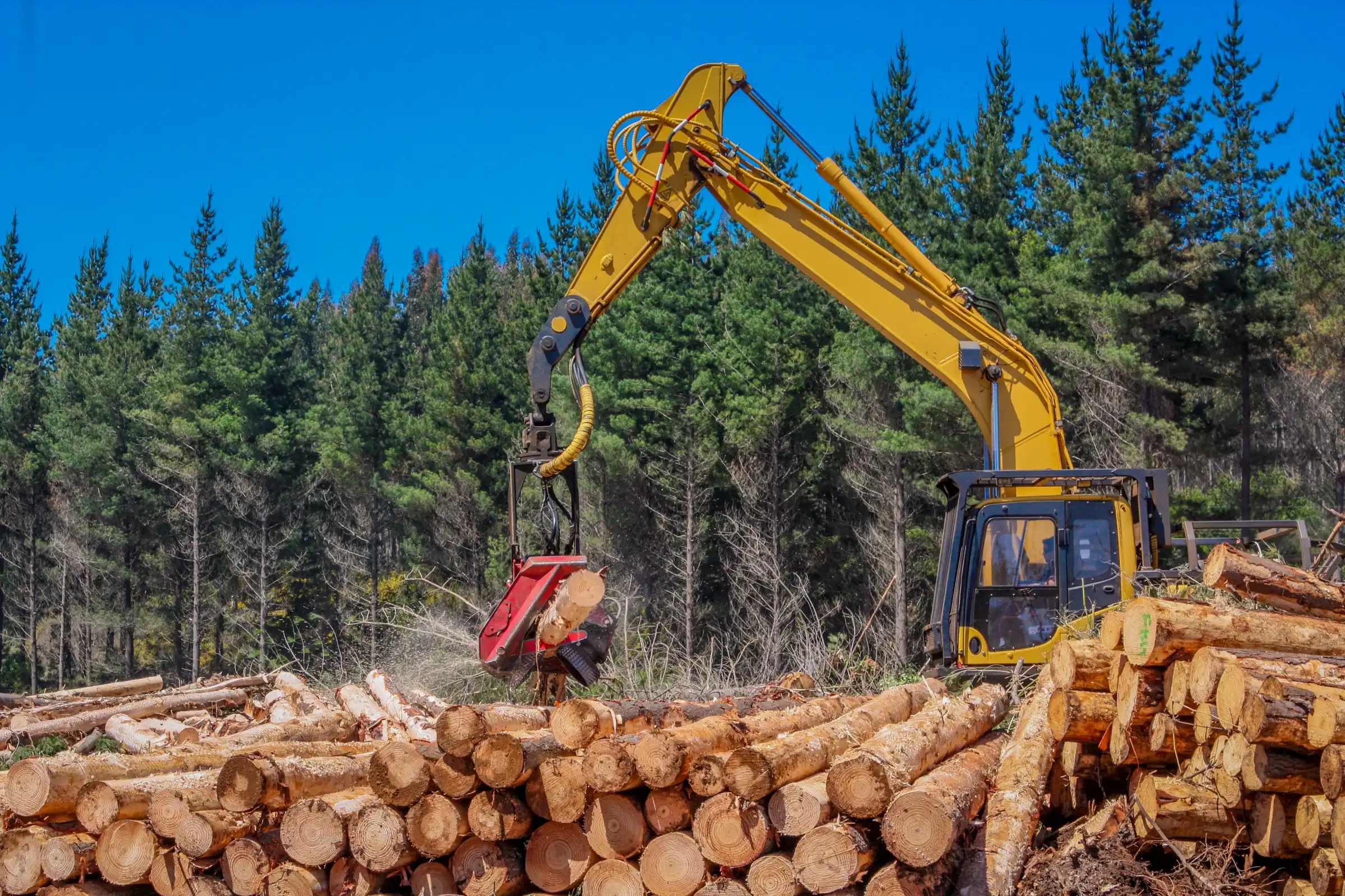 Forestry & Logging