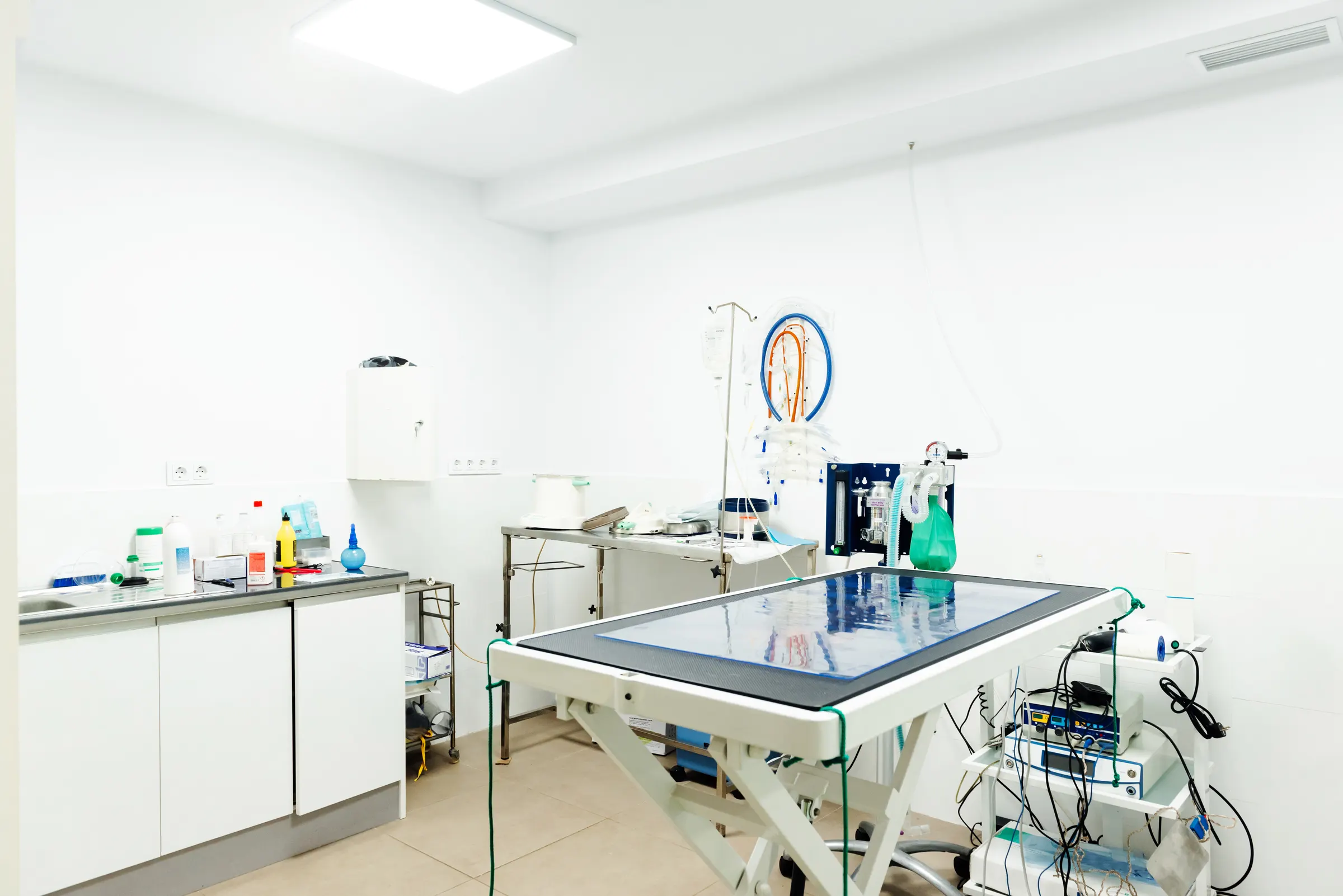 Veterinary